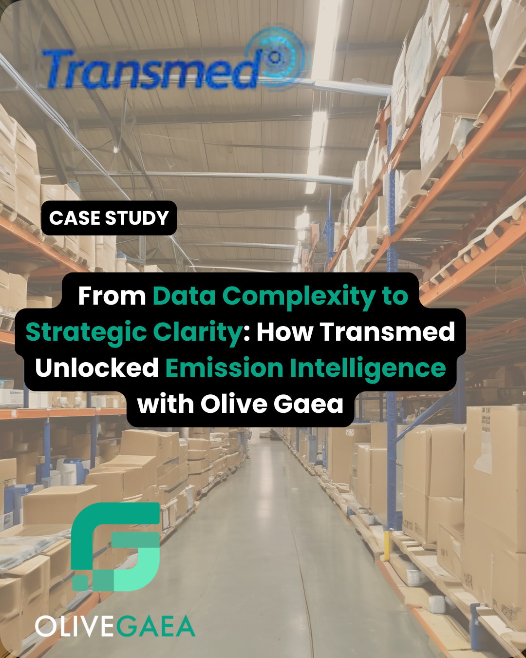 From Data Complexity to Strategic Clarity: Transmed’s Sustainability Journey